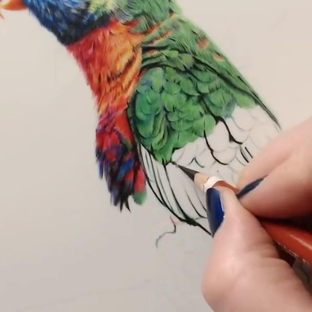 Learn to draw colourful feathers in coloured pencil; learn how to draw animals, super simple coloured pencil course