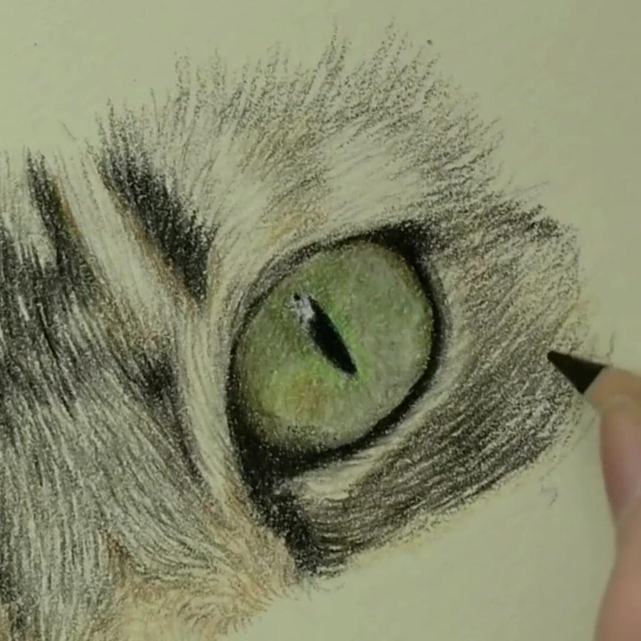 Learn to draw realistic animals, super simple coloured pencil course; learn to draw a cat's eye, free tutorial