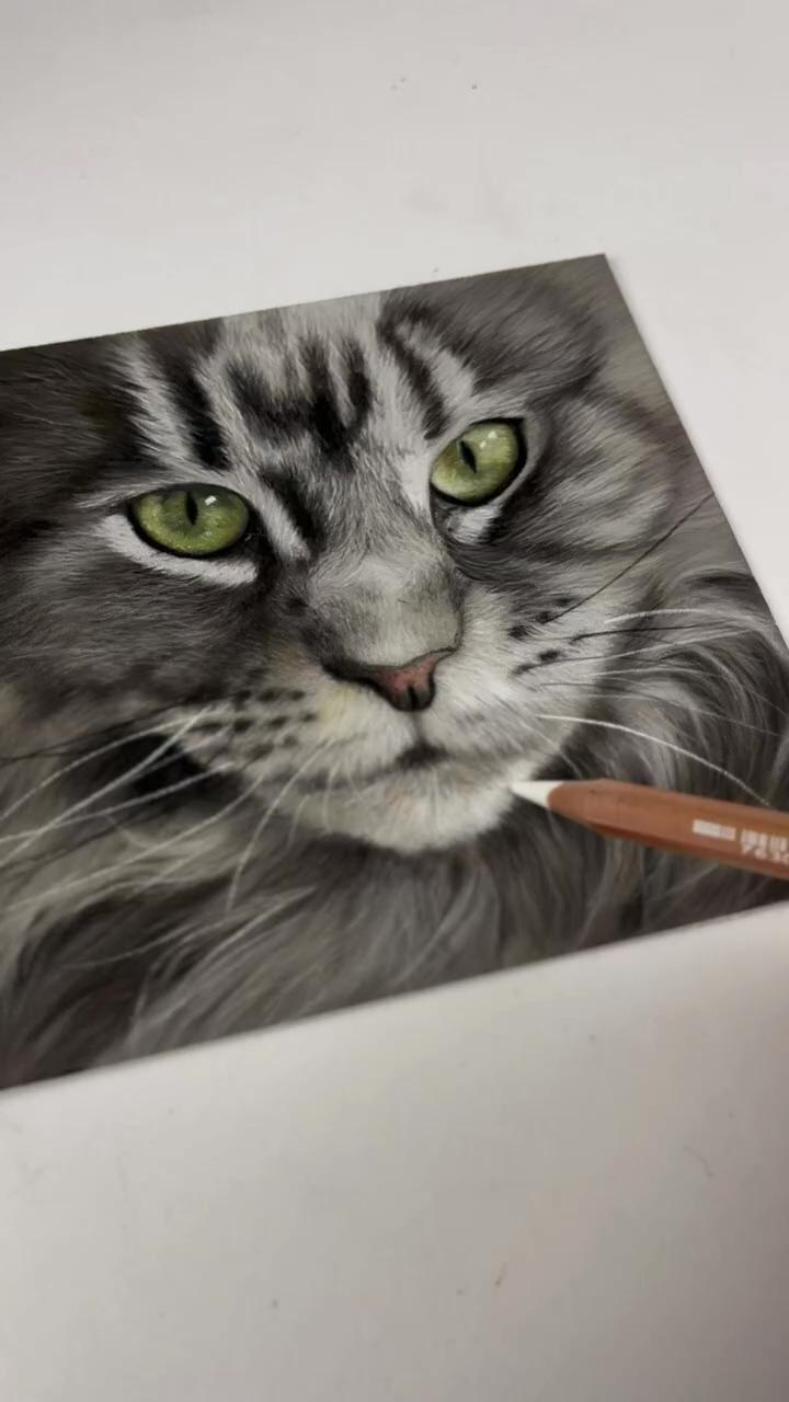 Maine coon cat pastel art | painting cat fur