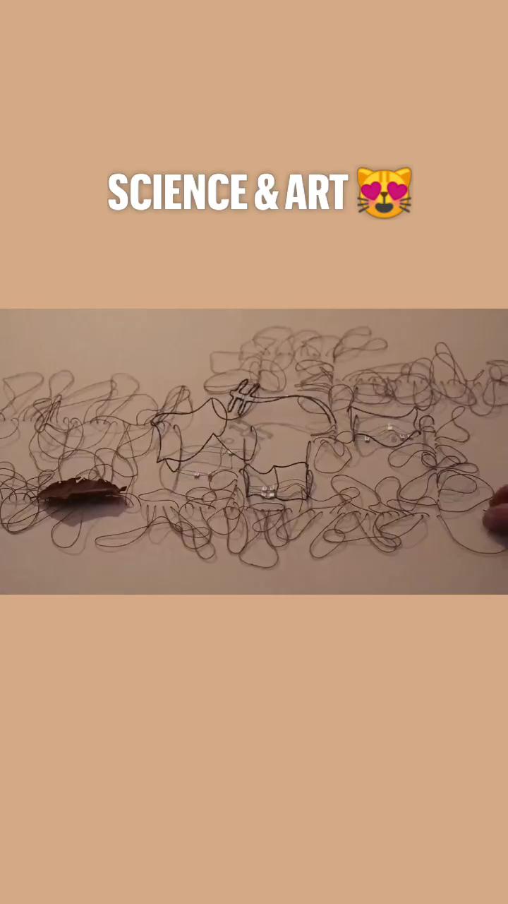 Science and art; easy crafts