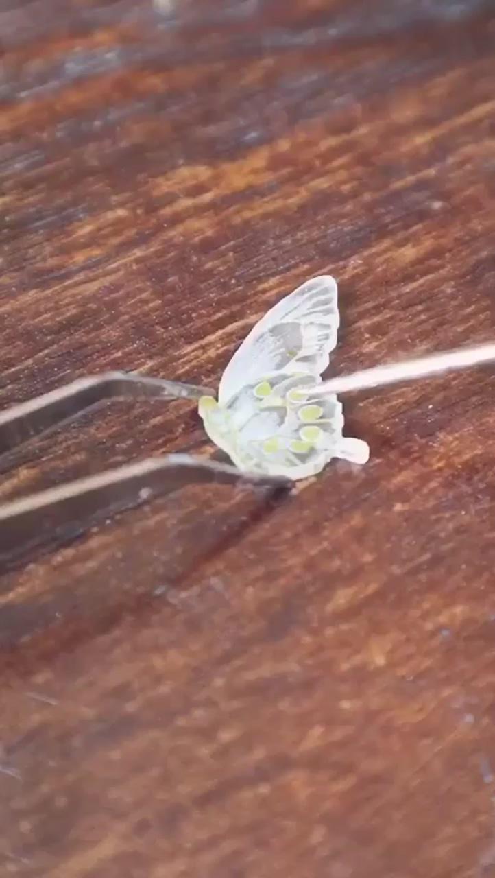 An unusual technique for creating butterfly earrings; diy shrink plastic jewelry
