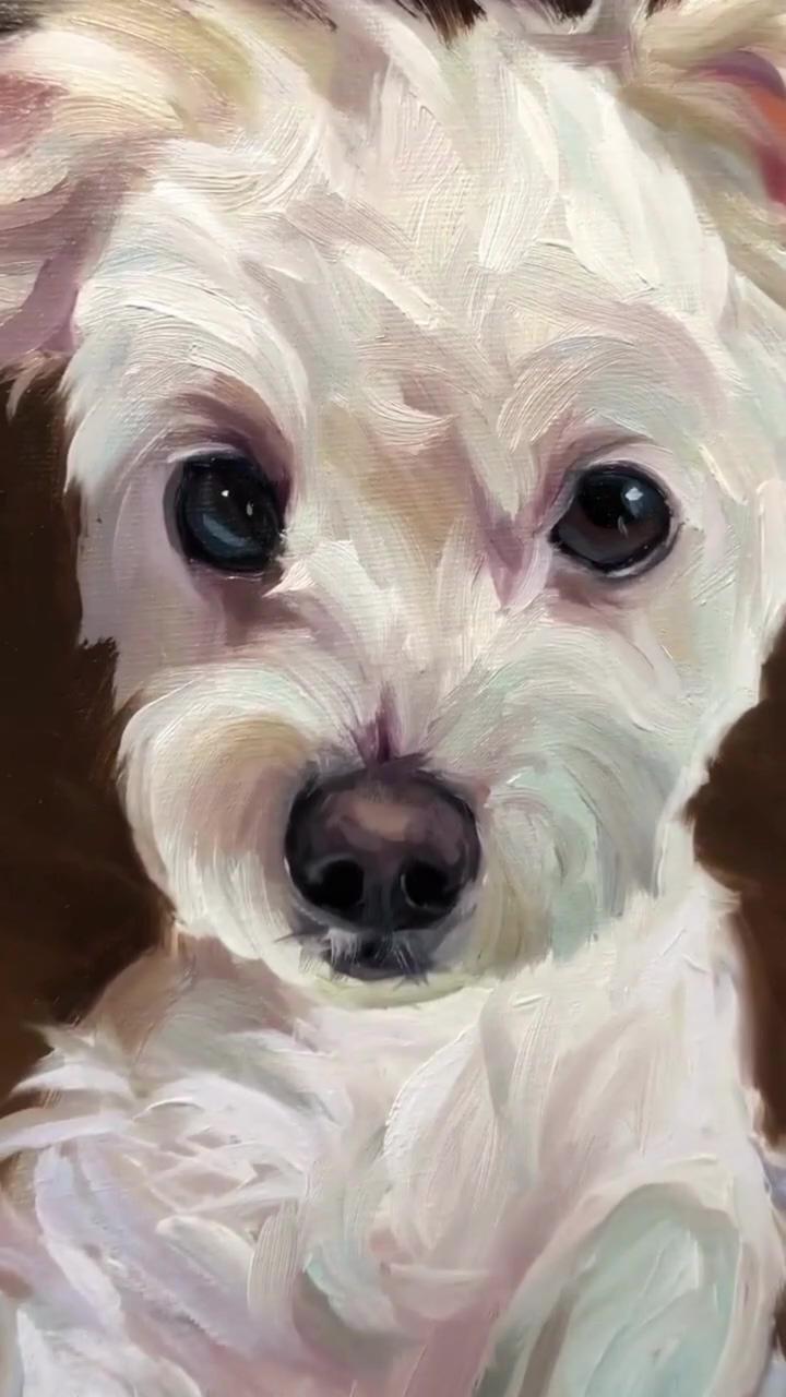 Custom pet portrait oil painting | pet portrait paintings