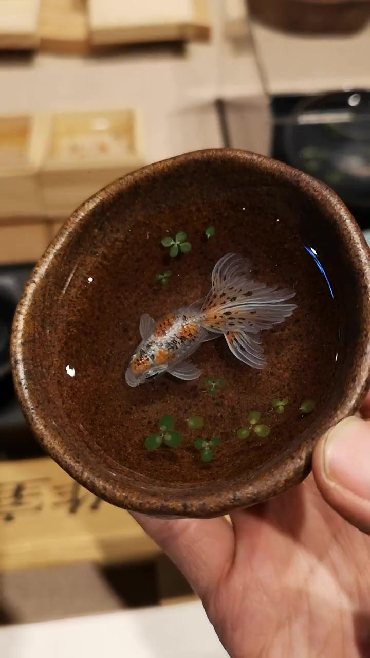 Mesmerizing goldfish resin painting in a stunning brown ceramic teacup | uncommfish