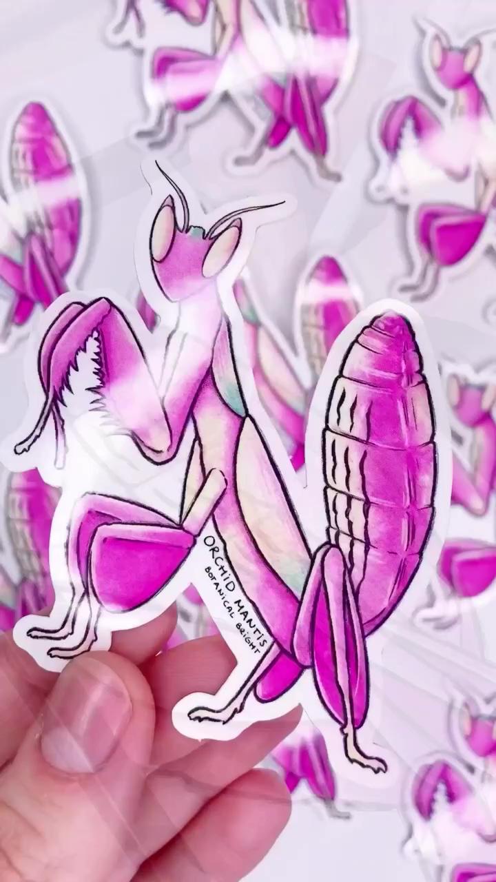 Orchid mantis vinyl sticker - botanical bright | tutorial: how to give your drawings a more dramatic mood w a simple lighting trick