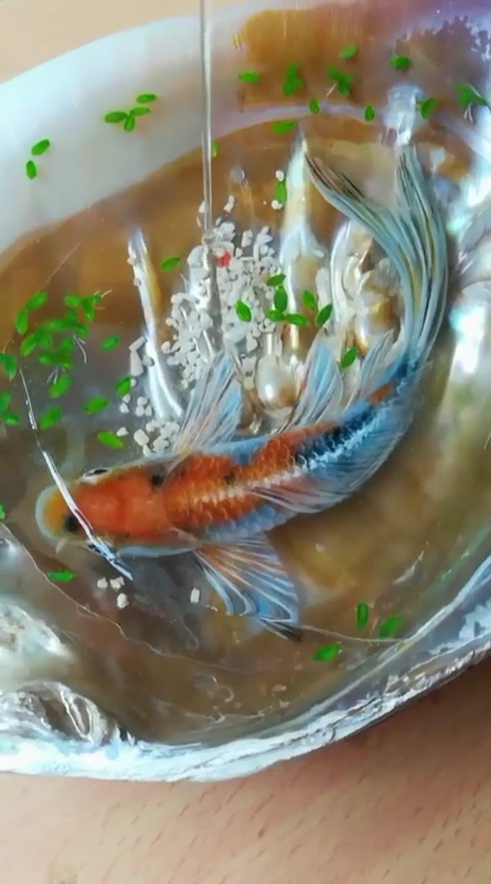 Watch the magic unfold - a colorful koi fish resin painting process in an abalone shell | watch the mesmerizing process of painting 3d red koi fish in a ceramic container