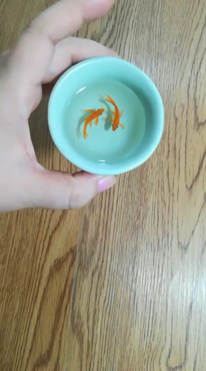 Watch the mesmerizing process of painting little orange koi fish in a 3d ceramic teacup; stunning red and white goldfish painting in resin with 3d illusion effects