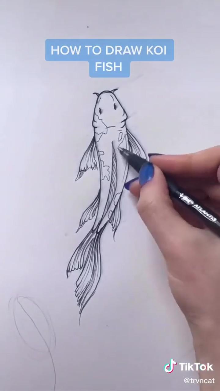 How to draw a koi fish; art drawings sketches creative