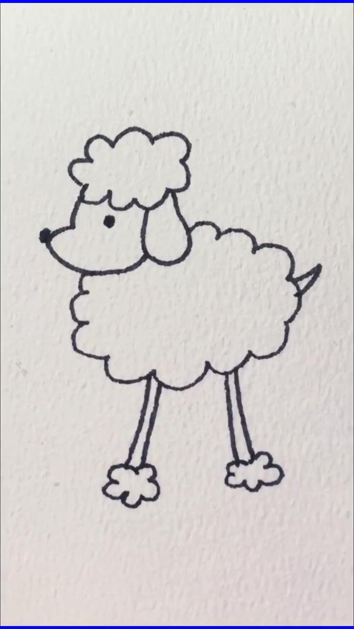 How to draw a sheep: beginner and advanced tips; cute drawings for kids