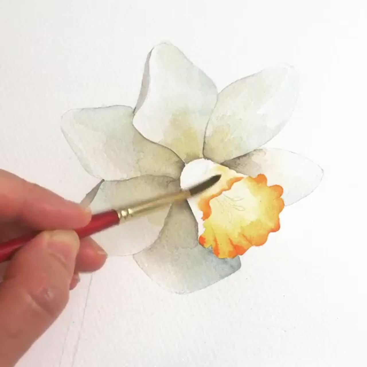 How to draw flowers; watercolor flowers tutorial
