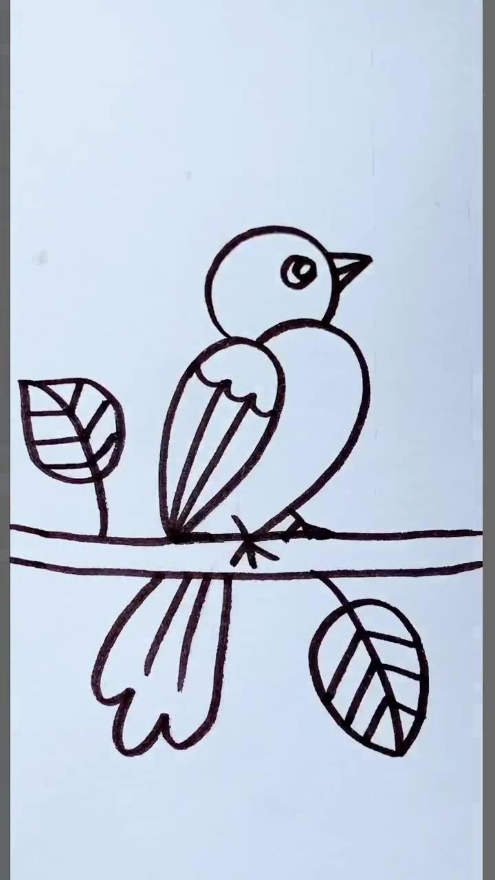 Learn to draw bird using easy and fun tutorials; hack to clean the phone plastic cover