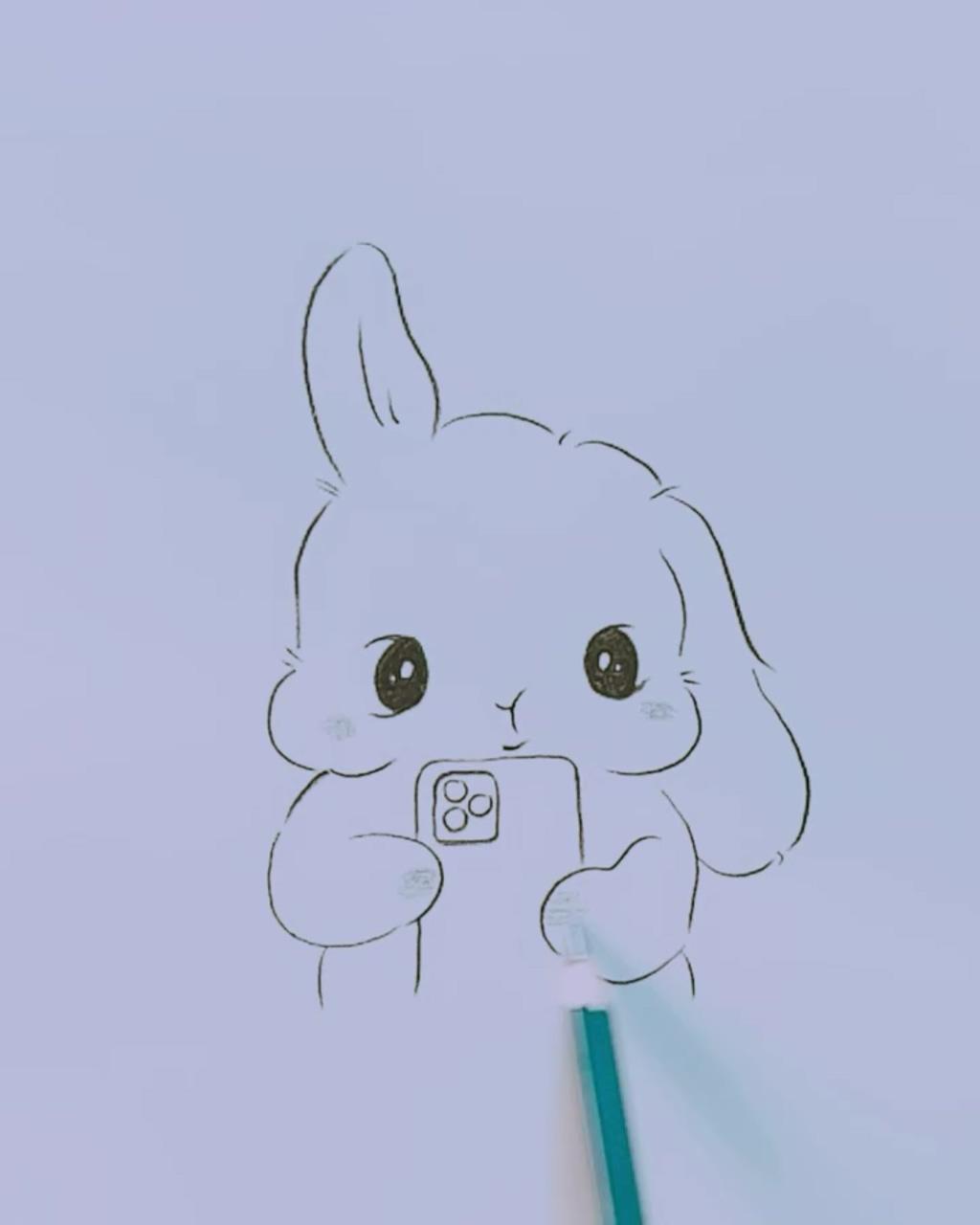 Rabbit drawing; rabbit drawing