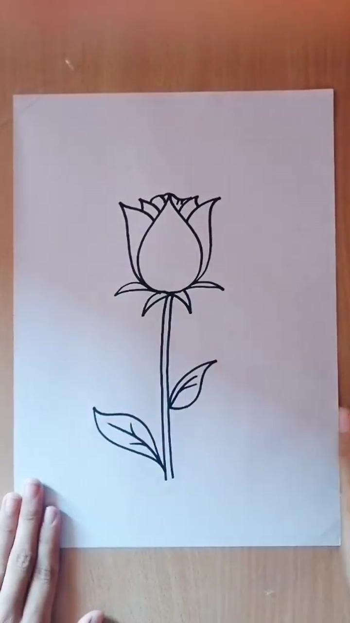 Rose drawing with pen | art drawings beautiful