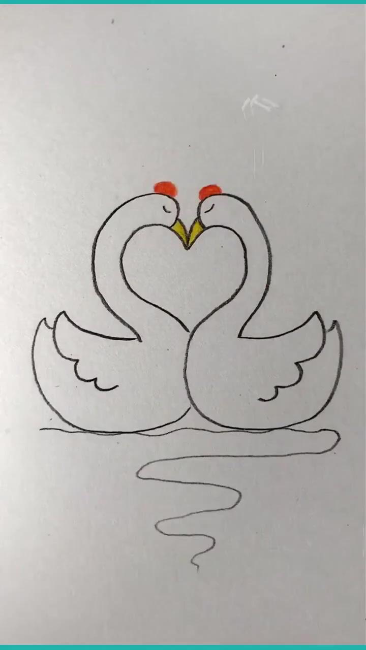 Simple and easy swan drawings | cool pencil drawings