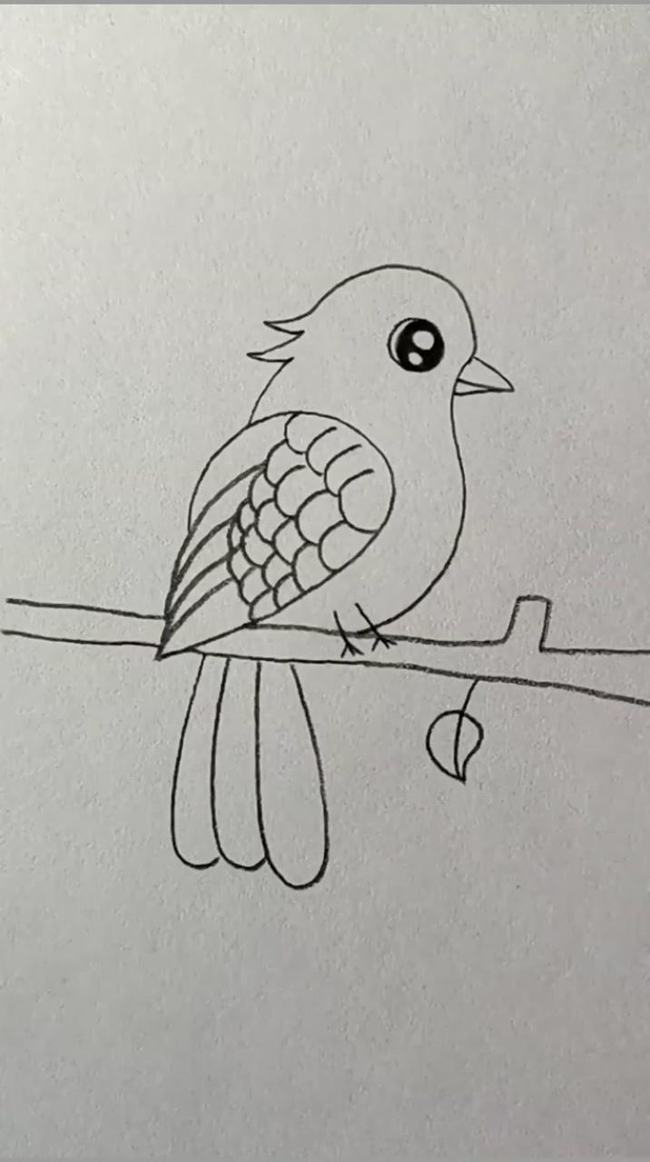 Super easy drawing tutorial for a beautiful bird; easy hand drawings