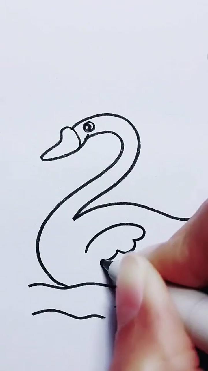 Swan drawing step by step, swan pencil drawing art | drawing birds easy