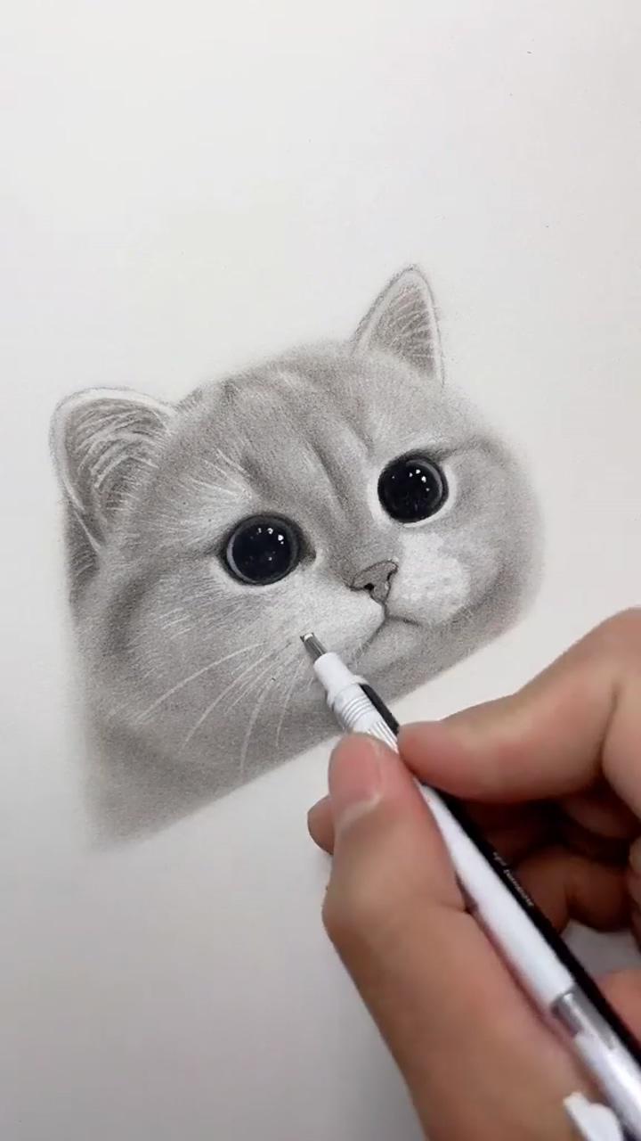 #cat #foryou #drawing #nduy8896#trending #top #vetranh #hoihoa #fyp #satisfying | cats art drawing