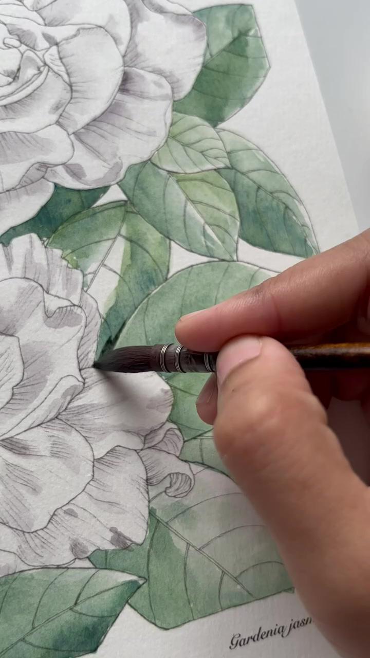 Gardenia watercolor; loose watercolour floral card painting