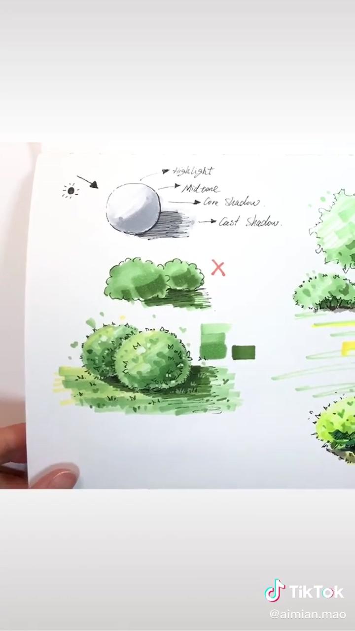 How to draw shrub plants | markers drawing architecture