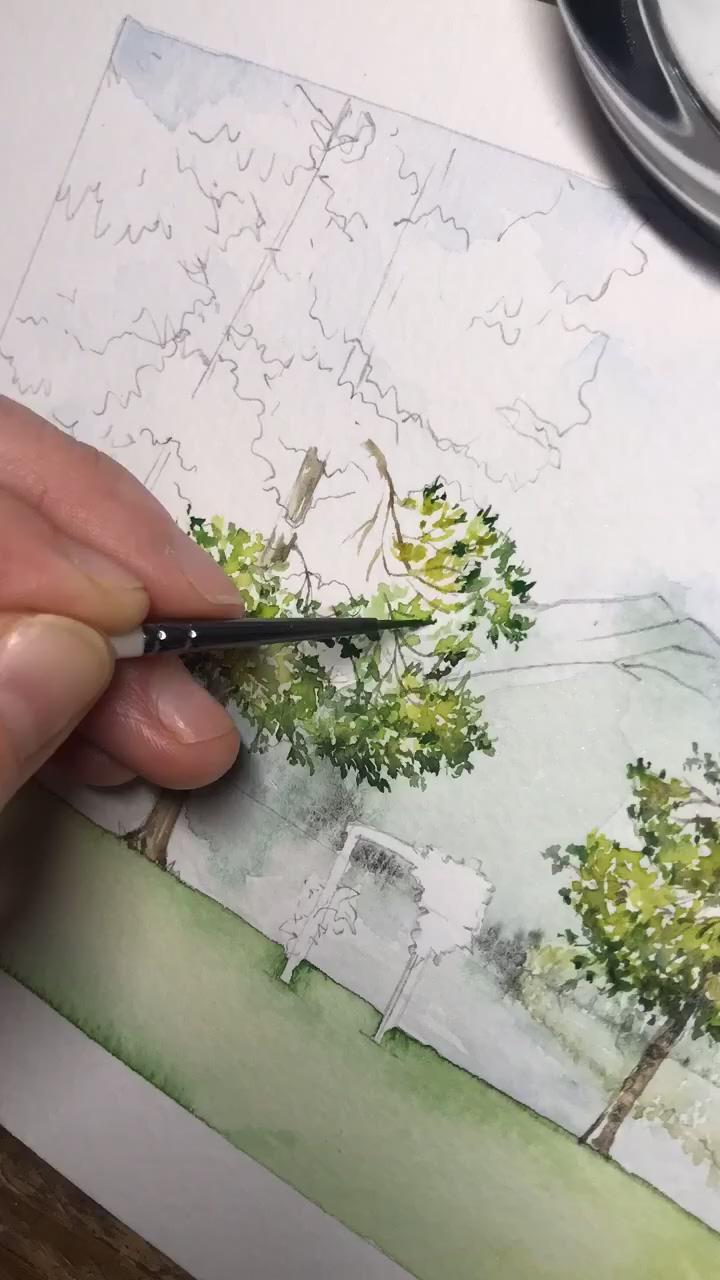 How to paint watercolour trees | tutorial for beginners