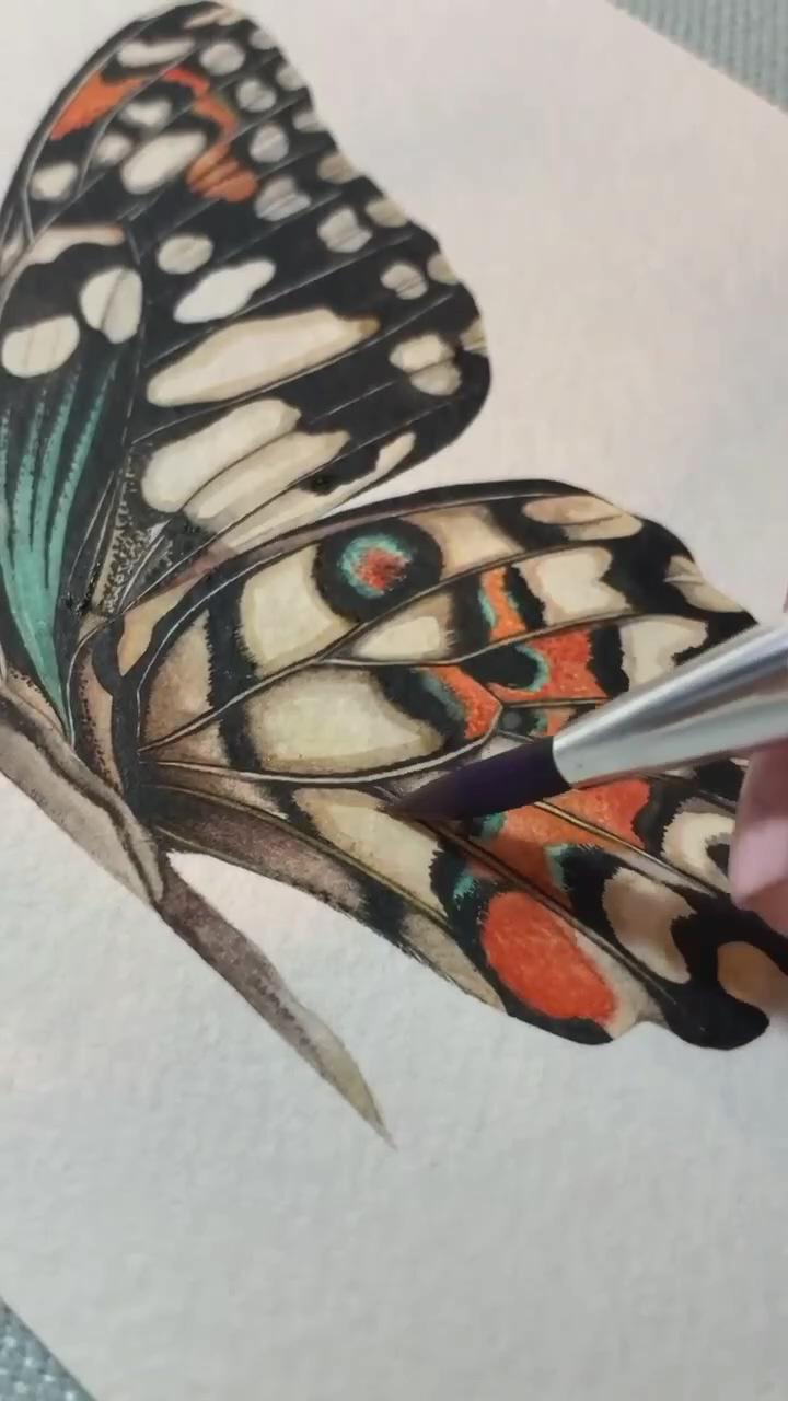 Libby bell art - fine art and stationery - how to paint a butterfly part 3 | watercolor painting techniques