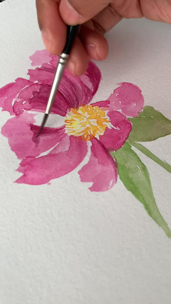Loose peony today | watercolor olive branch