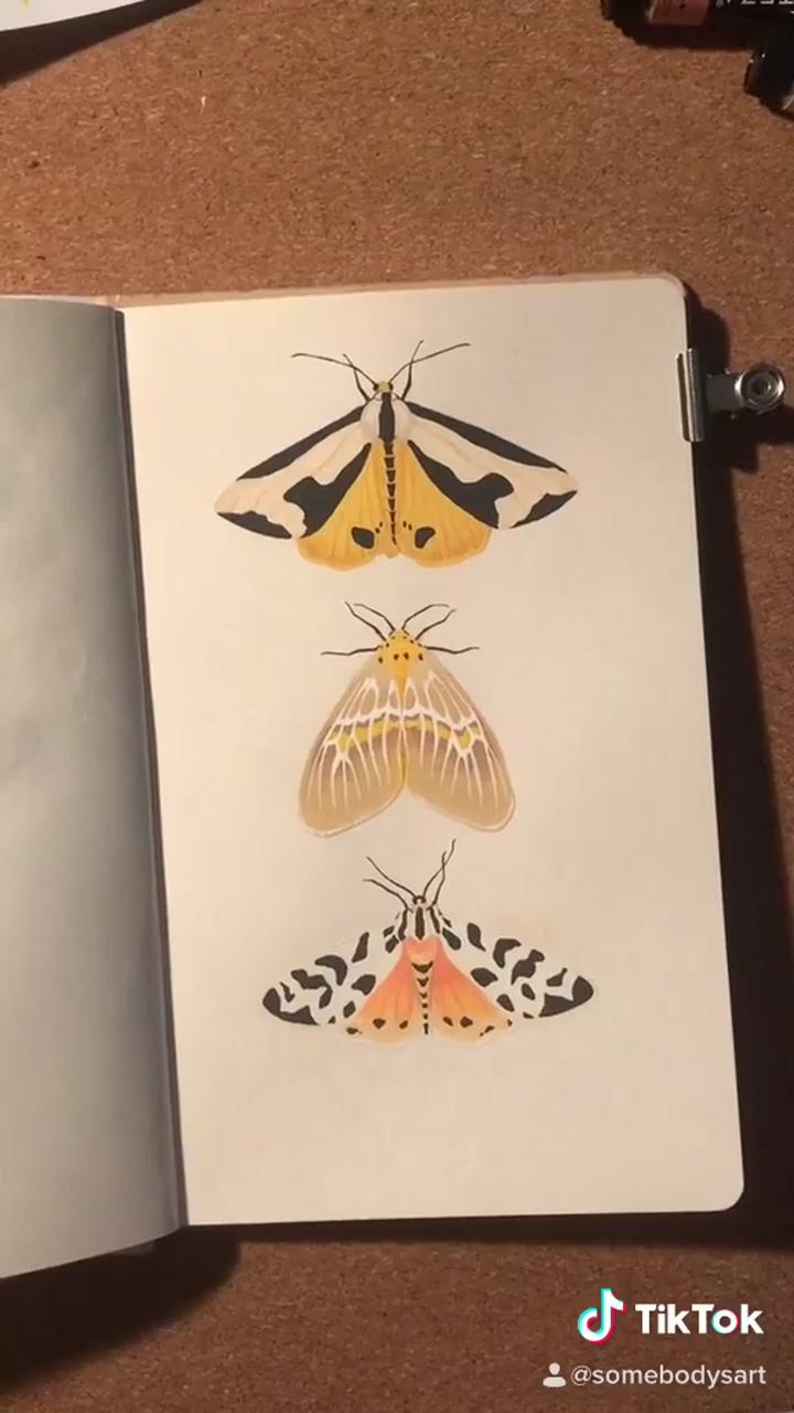 Painting some moths in my art journal | icy_rice on tiktok