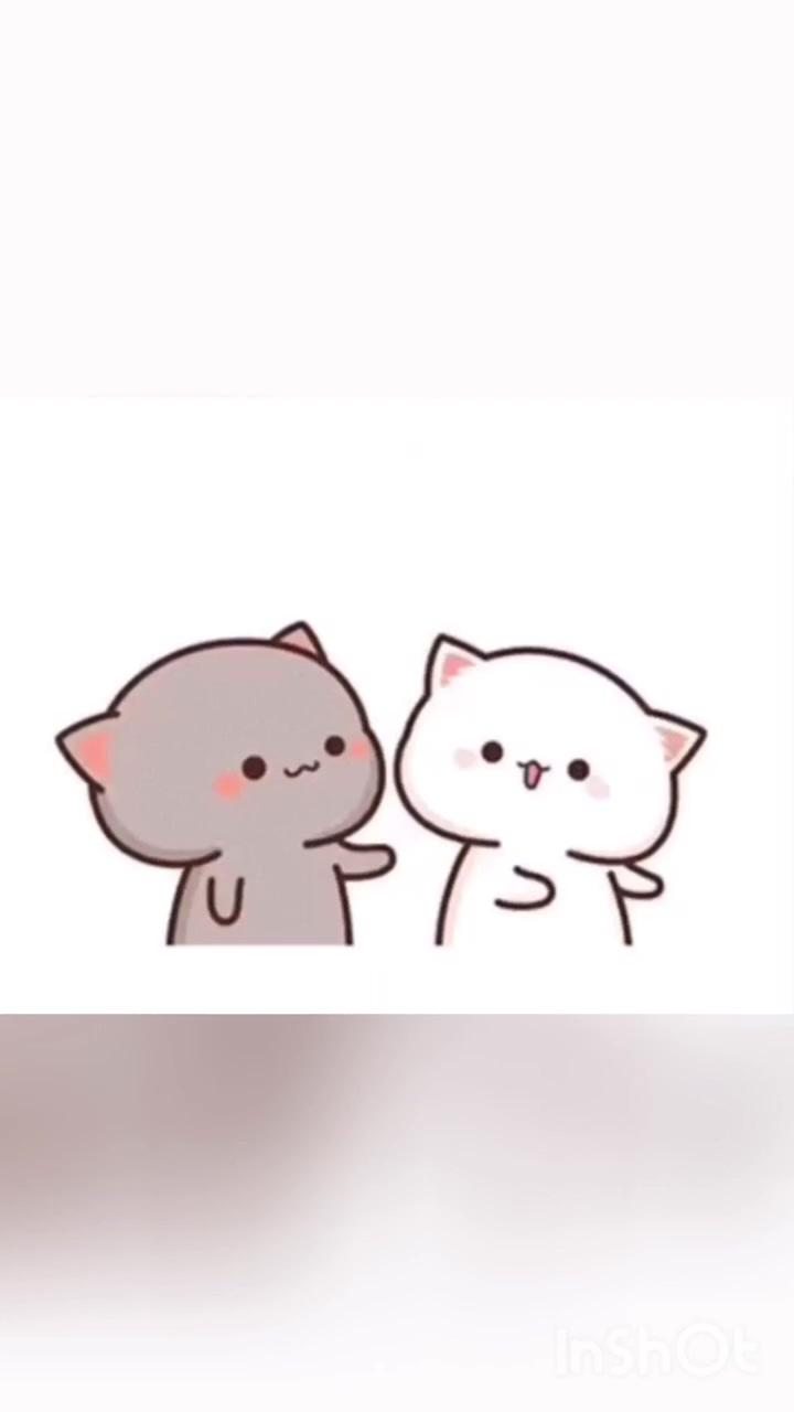 So cute | cute anime cat