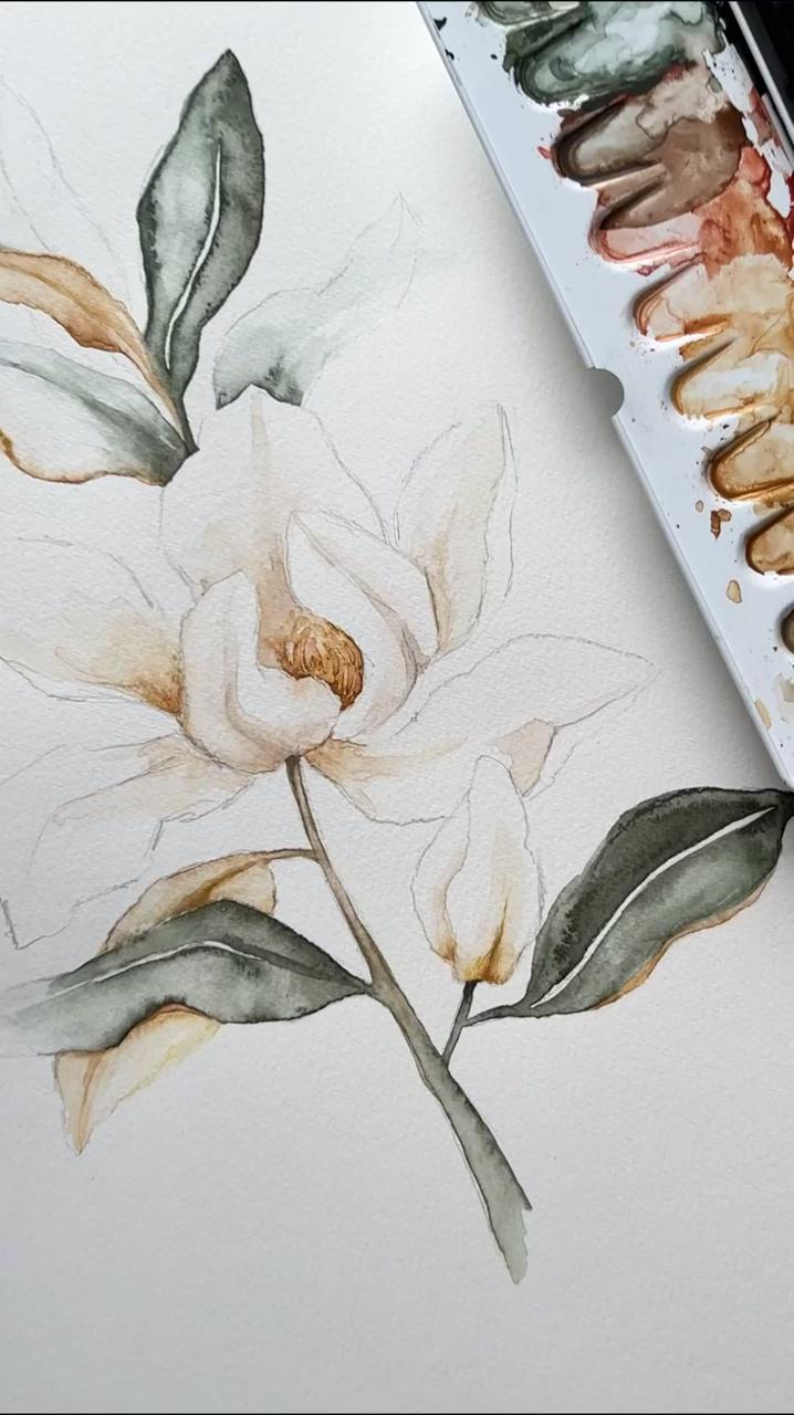 Watercolor magnolia grandiflora by angele kamp; watercolor flowers tutorial