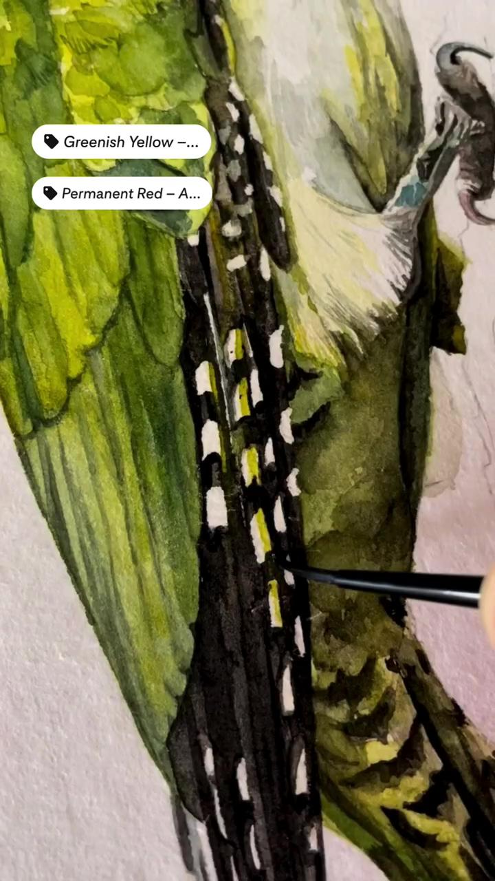 Watercolor woodpecker with art philosophy watercolor tubes | painting a humming bird with watercolor