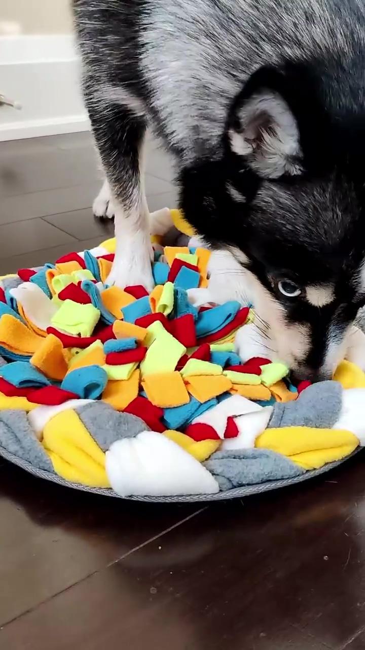 Cute lollipop nosework snuffle mat for dogs | little kalimba shop