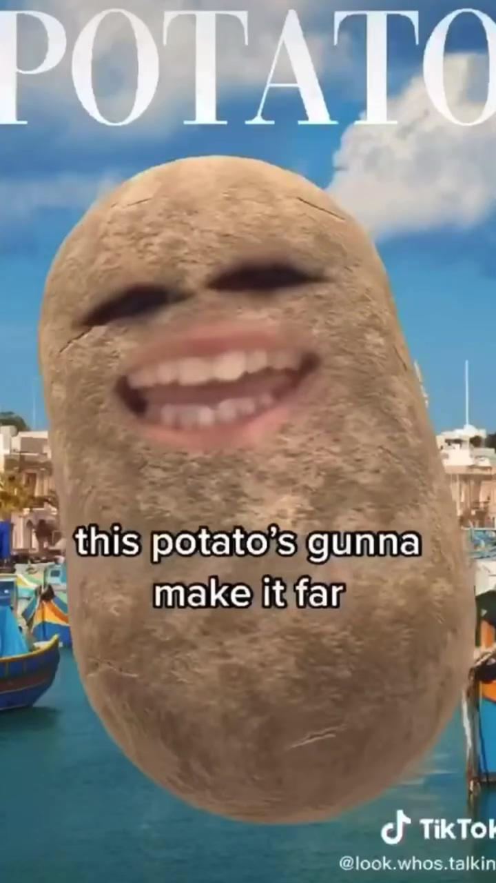 Do u think i should be a potato superstar; really funny pictures