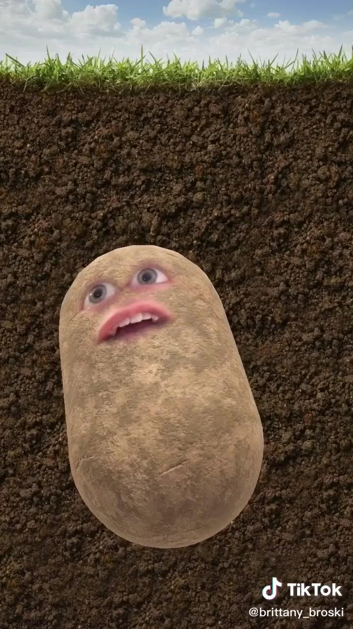 Funny potato tiktok; opening my dms
