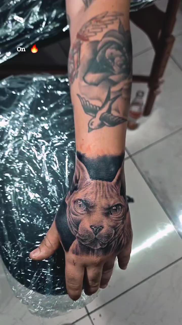 Gato tattoo by elyer tattoo; art tattoo