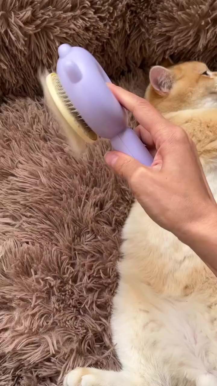 The cat brush; pet grooming supplies