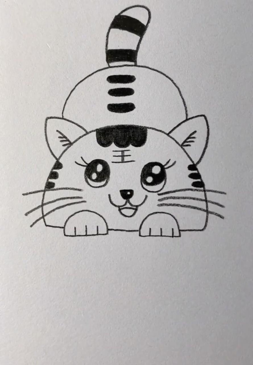 Cat drawing easy; easy drawings for kids