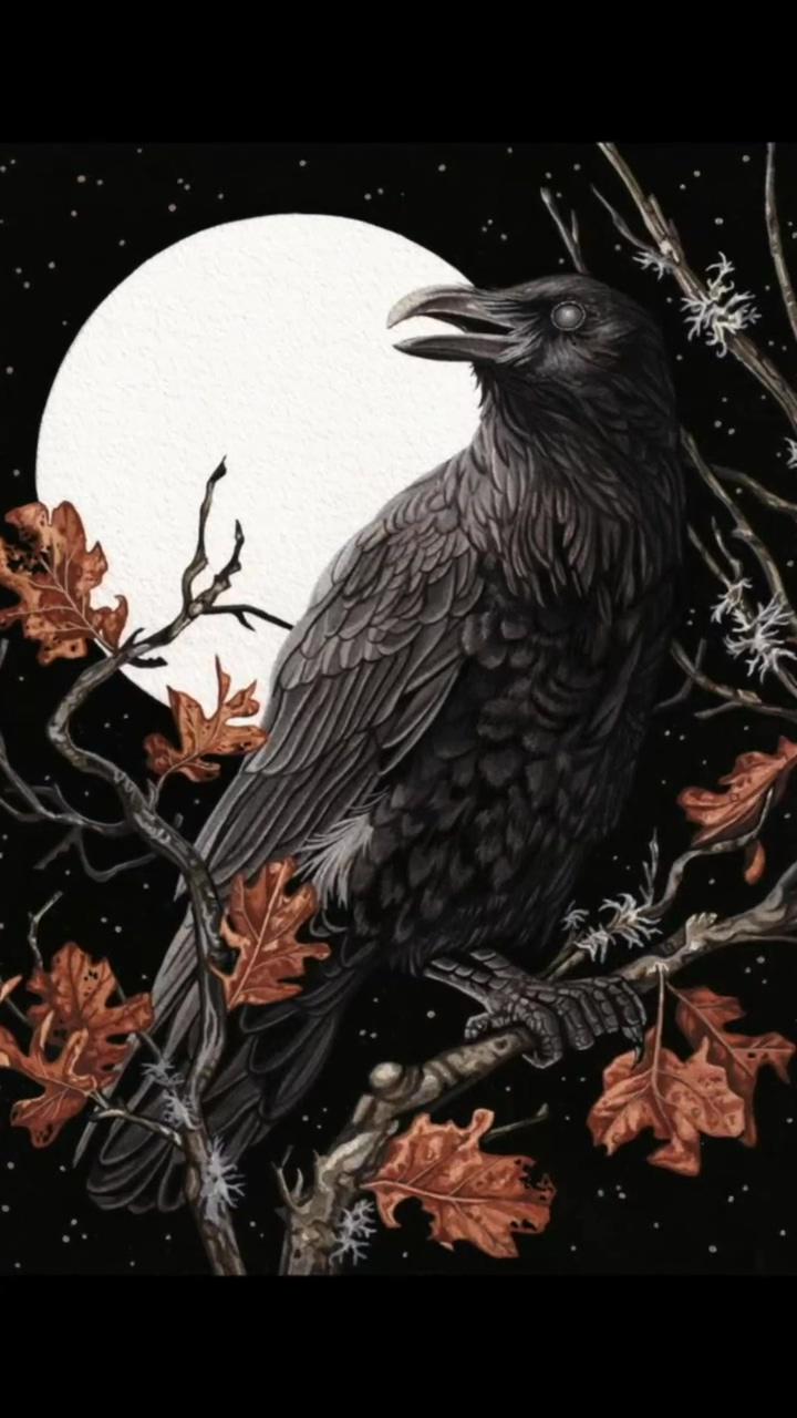 Painting a watercolor crow. by lauren richelieu. ; art inspiration painting