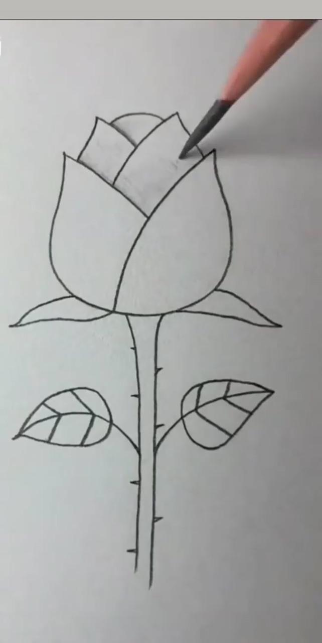 Rose drawing for beginners; easy drawings for kids