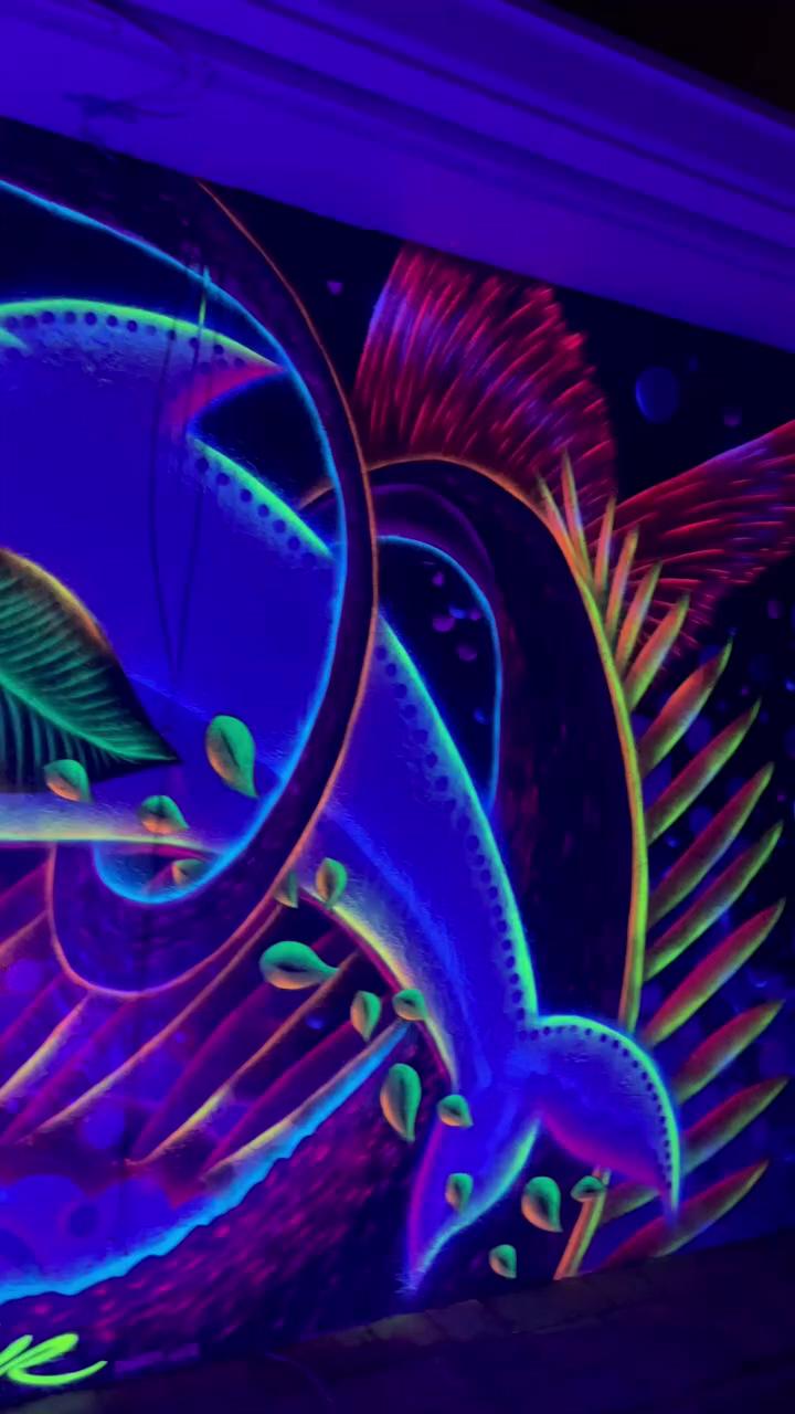 Shoker art1 mural fluorescent dolphin fort lauderdale florida; octopus mural mourning art1 florida