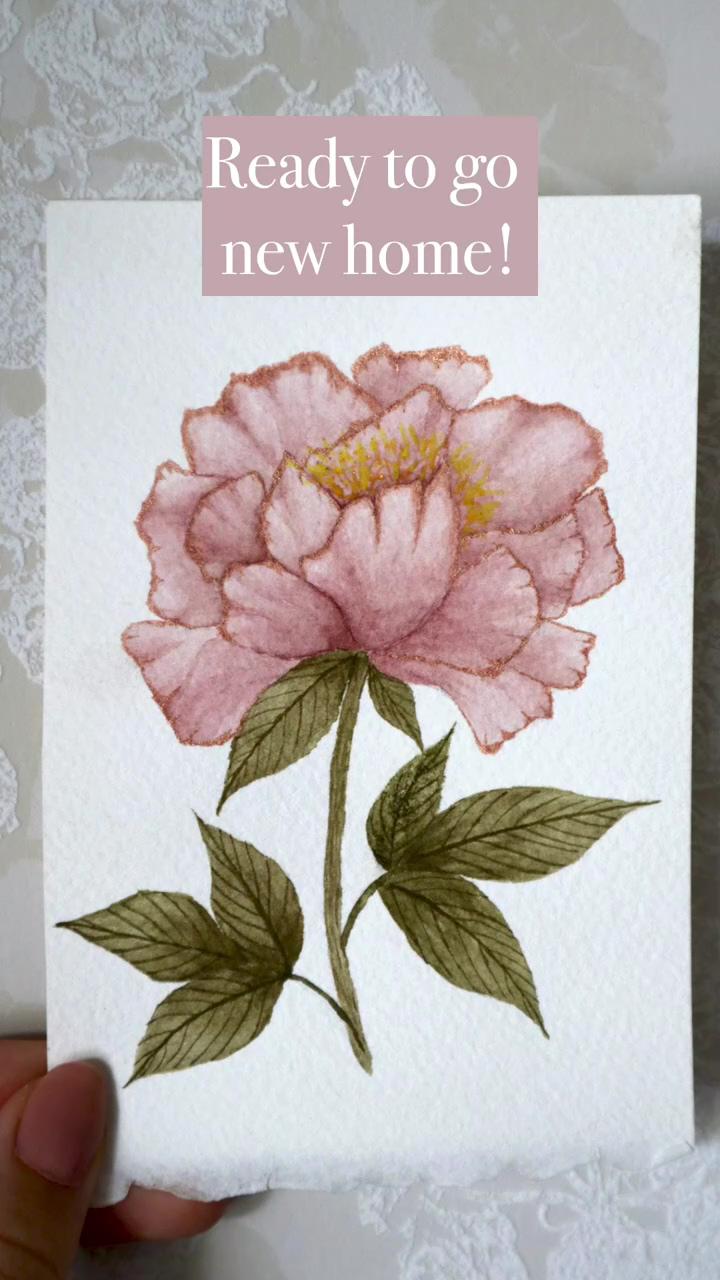 Watercolor peony process; watercolour flower art