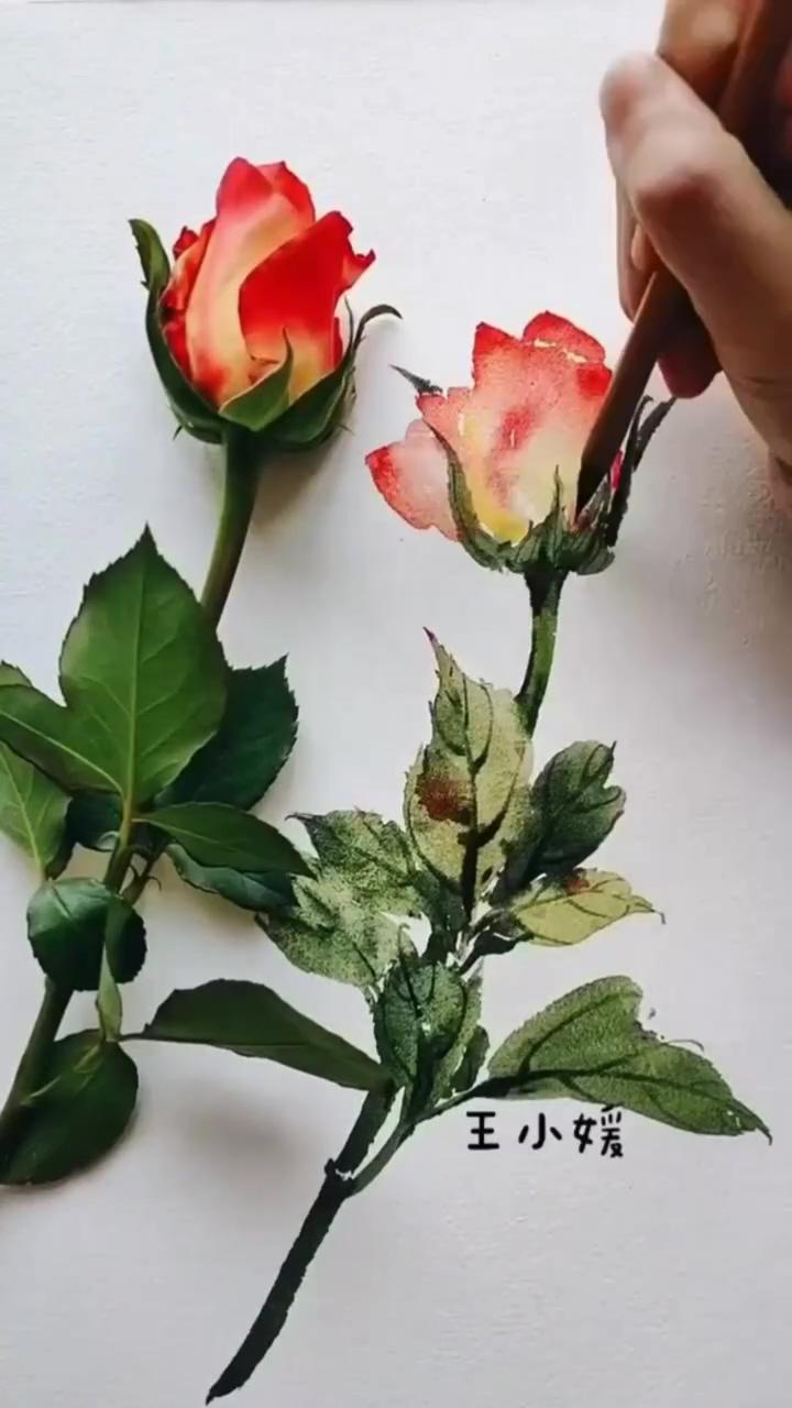 Watercolor rose tutorial; flower drawing tutorials